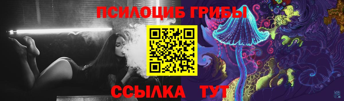 Псилоцибиновые грибы GOLDEN TEACHER  Галлюциногенные грибы Psilocybine cubensis  Вход с VPN  Сорочинск 